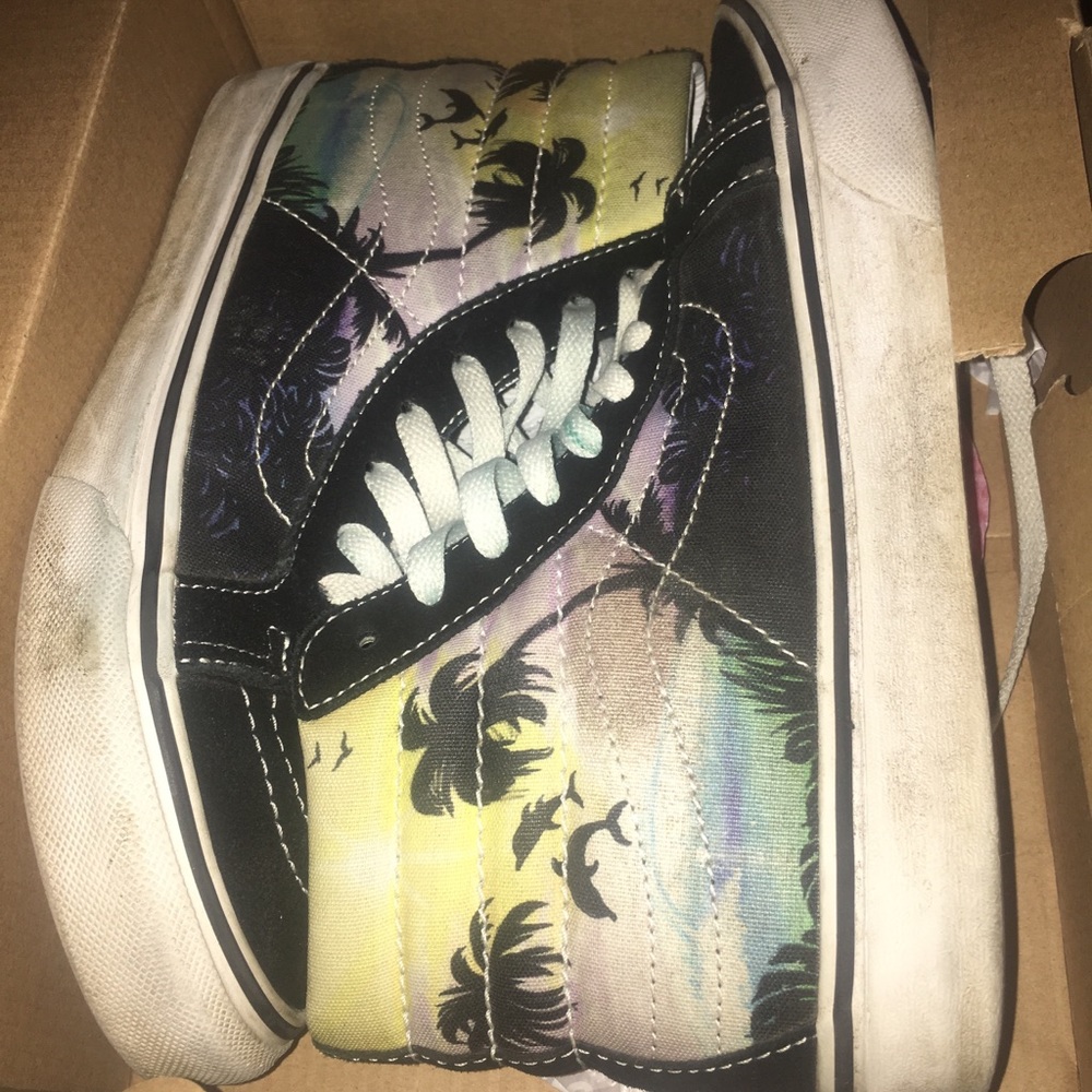 Dolphin Beach Vans